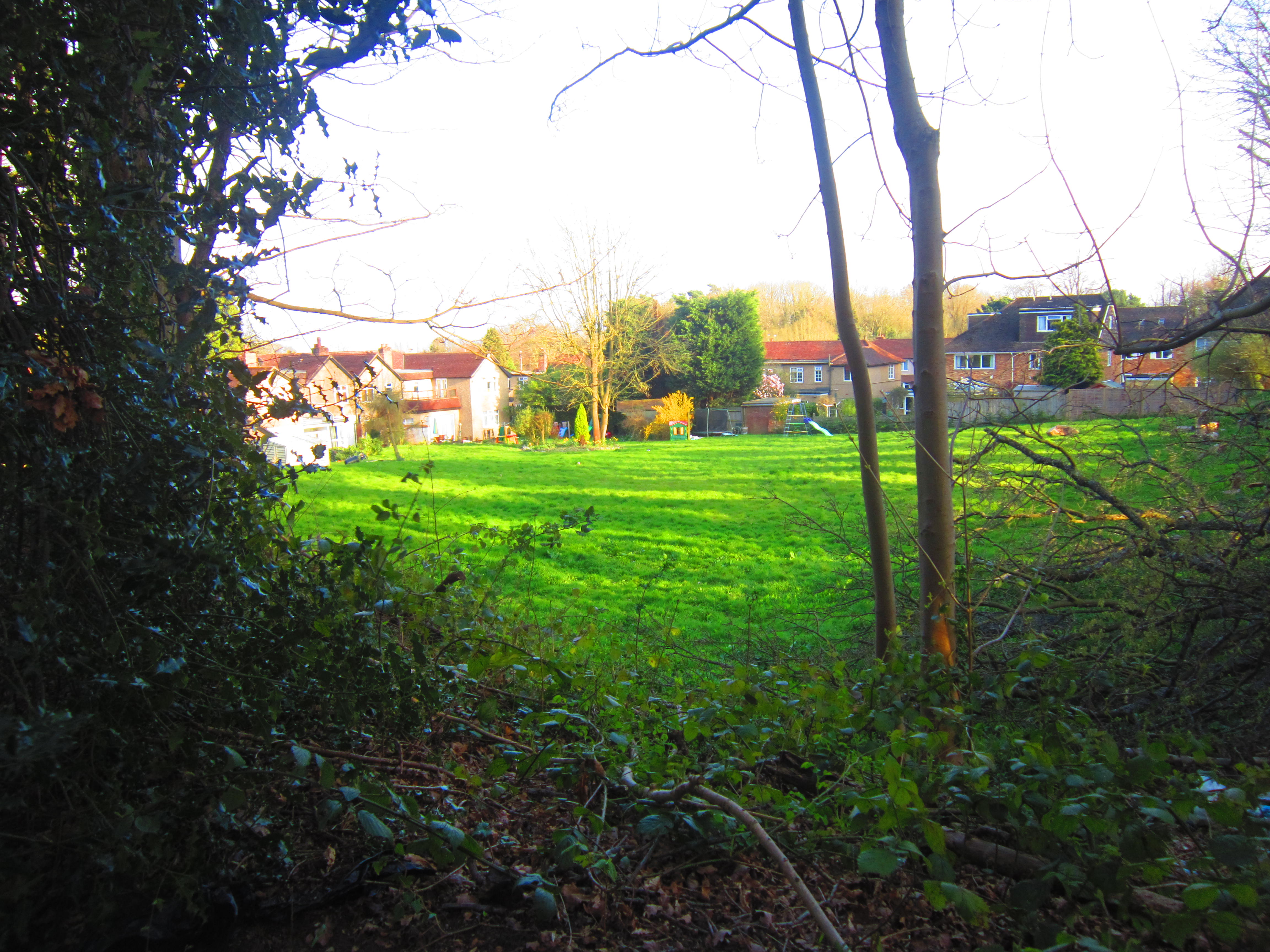 Grim`s Dyke (2)