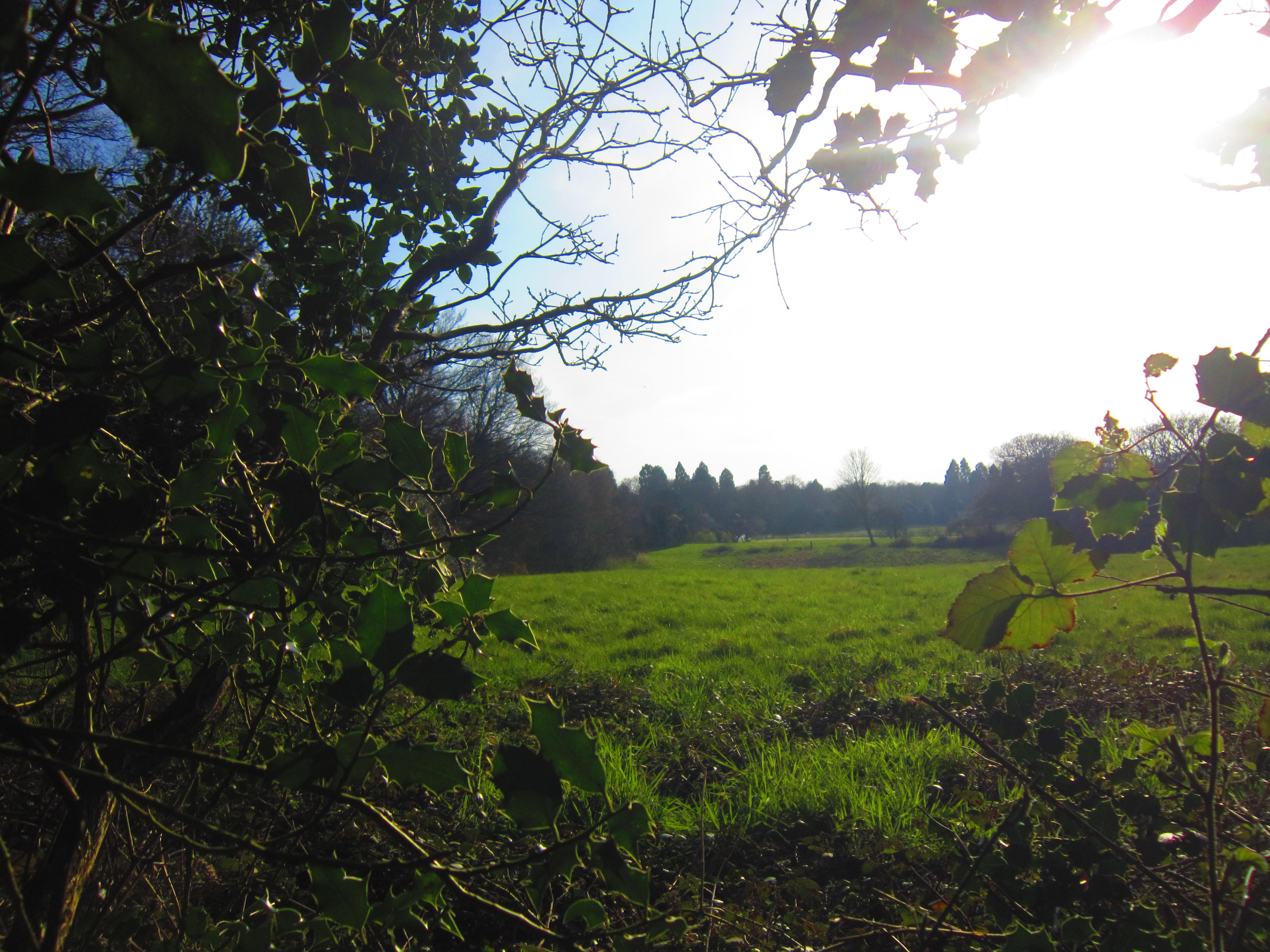 Grim`s Dyke (3)